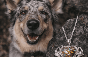 pet cremation jewelry